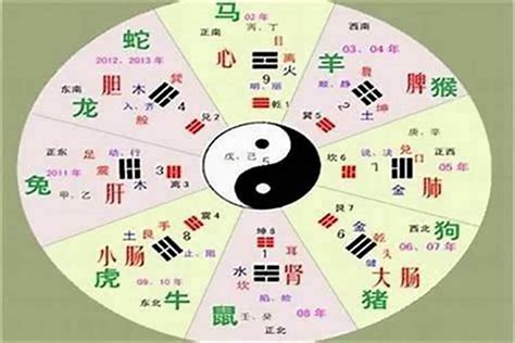 徐字五行|五行汉字属性查询